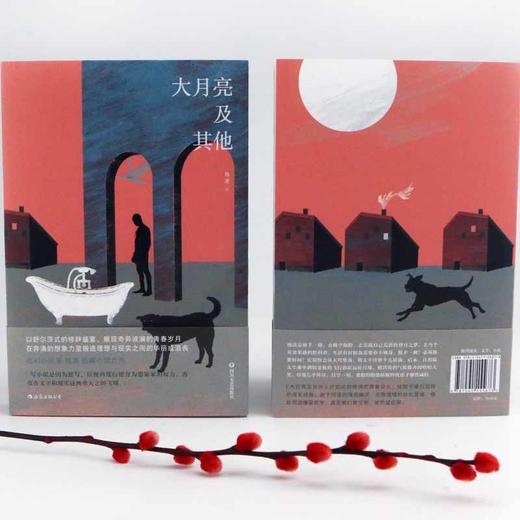 (仓发) 大月亮及其他（“社幻小说家” 陆源-短篇小说力作）/四川文艺出版社/陆源/9787541155673 商品图4