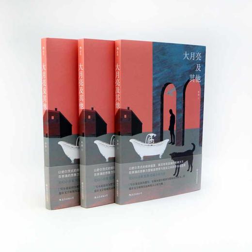 (仓发) 大月亮及其他（“社幻小说家” 陆源-短篇小说力作）/四川文艺出版社/陆源/9787541155673 商品图3