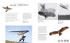 Biomimicry for Designers: Applying Nature's Processes & Materials in the Real World/仿生学的设计 商品缩略图3