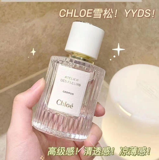 Chloe蔻依北国雪松香水50ml 商品图3