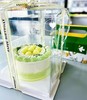 【甜久荟 精致法式蜜瓜蛋糕】已下市仅作参考 以夏季绣球盛开为意境 设计的二款蜜瓜蛋糕 用高档抹茶粉调色 顶层装饰蜜瓜球 围边抹茶“珠串” 内陷根据水果随机芒果或蜜瓜 细节满满 商品缩略图4