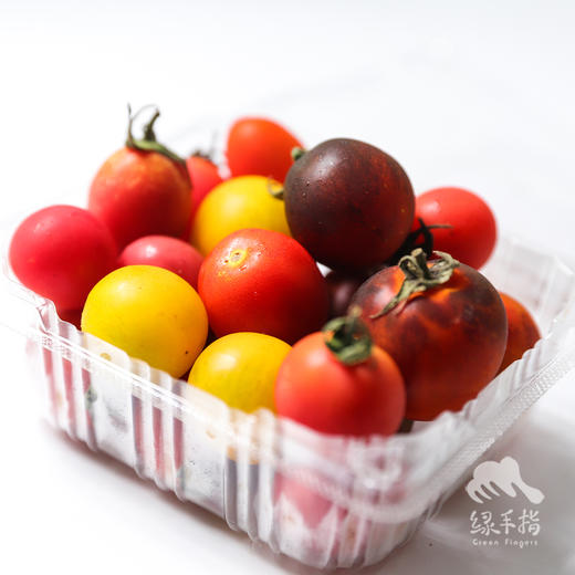 有机樱桃番茄 | 合作生产*Organic tomato | Coprodution 商品图6