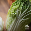 生态娃娃菜 | 合作生产*Eco-baby cabbage | Coproducted 商品缩略图3