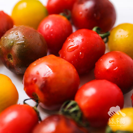 有机樱桃番茄 | 合作生产*Organic tomato | Coprodution 商品图3