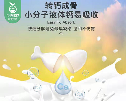 星鲨钙软胶囊/1份（5盒，单盒0.1g*12粒）生产日期：24年11月补单专用 商品图2