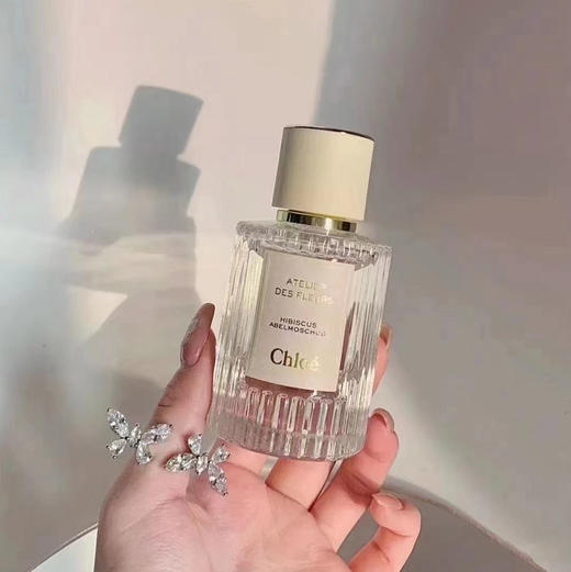Chloe蔻依北国雪松香水50ml 商品图1