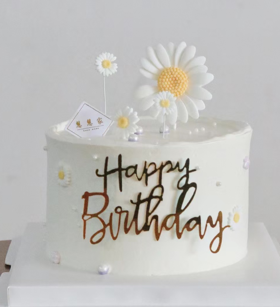 蛋糕定制—小清新蛋糕