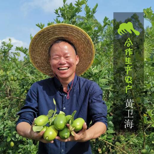 生态香水柠檬   | 合作生产 * Ecological Lemon | Coproduction 商品图1