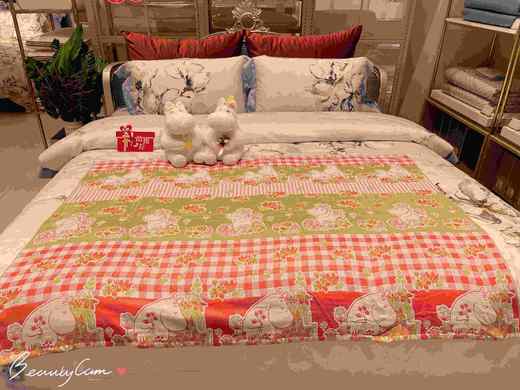 毛巾美术馆毛巾被 商品图0