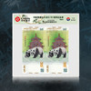【十级封装】中国熊猫金币发行35周年纪念券（现货） 商品缩略图1