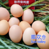 康之源农场 散养土鸡蛋 营养新鲜 生态自然 （限北京） 商品缩略图3