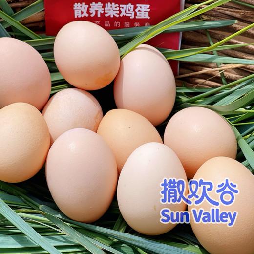 康之源农场 散养土鸡蛋 营养新鲜 生态自然 （限北京） 商品图3