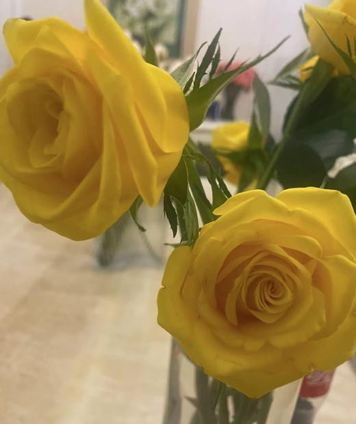 【福利秒杀】契机  20支/扎 商品图1