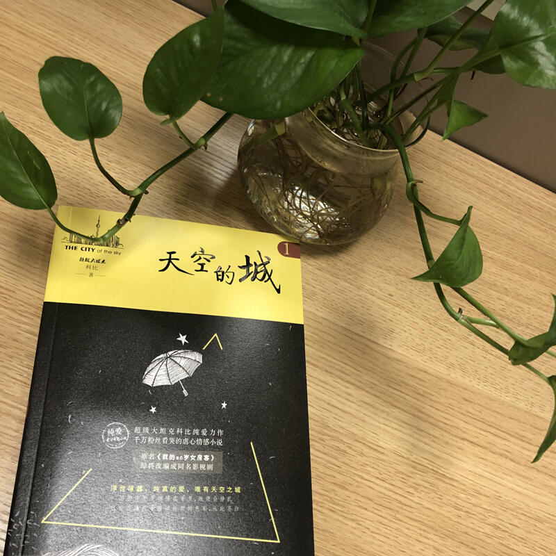 天空的城1 原名 我的26岁女房客 17k小说网签约作家超级大坦克科比 著虐心情感类书籍纯爱情感爱情小说文学同名影视剧小说