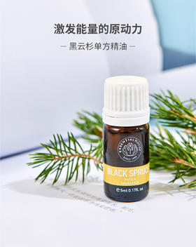 黑云杉 Black Spruce 单方精油 5ml