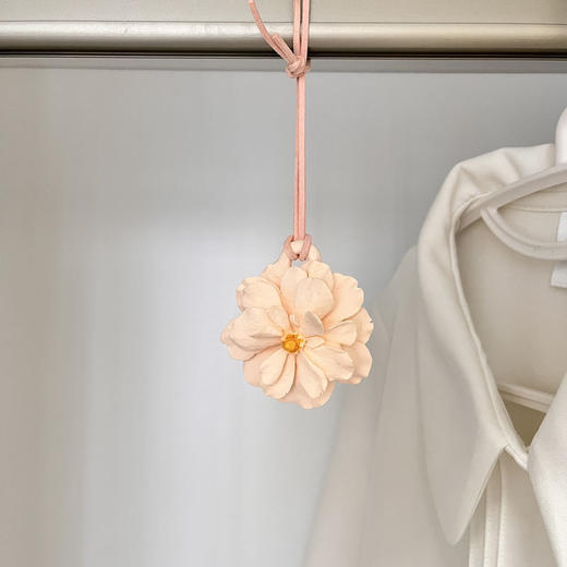 【主播推荐】小红书文艺清新 香衣橱扩香石 卧室内持久留宿舍房间挂件 商品图2