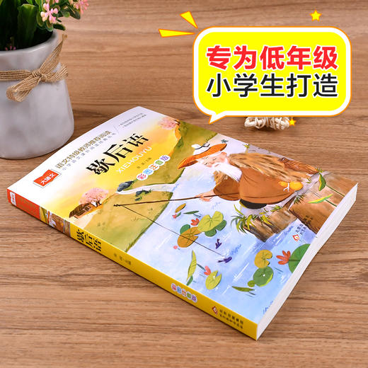 歇后语 彩图注音版 儿童文学 一二三年级课外阅读书世界经典文学少儿名著童话故事书 大语文系列 小学语文课外阅读经典丛书 商品图1