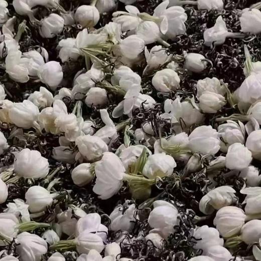福州茉莉花茶 商品图1