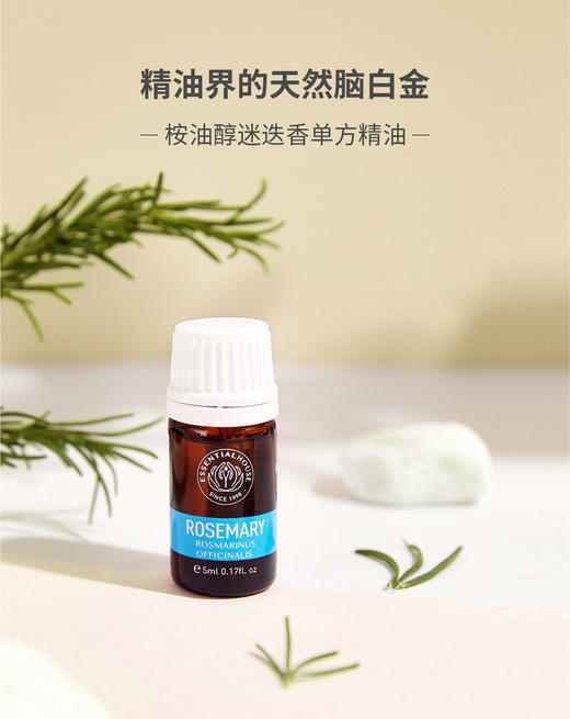桉油醇迷迭香 Rosemary 单方精油 5ml 商品图0