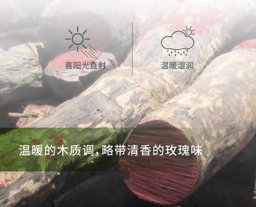 花梨木 Rosewood 单方精油 5ml 商品图1