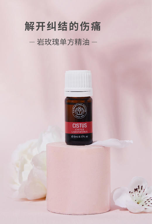 岩玫瑰 Cistus单方精油 5ml 商品图0