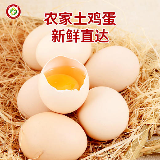 邵阳红农家土鸡蛋真正林下走地鸡鸡蛋30枚/箱 商品图1