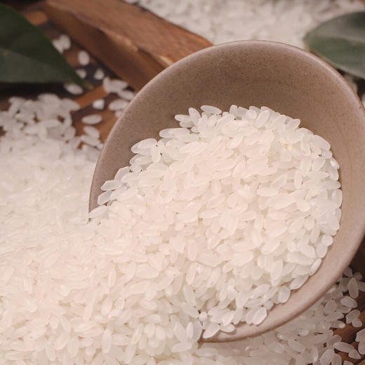 花中花 五常香米5kg 东北大米正宗五常稻花香10斤 粳米真空装 商品图1