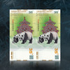 【十级封装】中国熊猫金币发行35周年纪念券（现货） 商品缩略图6