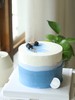 浅蓝色系简约蓝莓（图片是4寸款 适合1-3人） 商品缩略图1