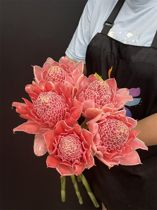 小众花材火炬姜瓷玫瑰 商品图6