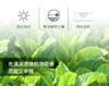 欧薄荷 Peppermint 单方精油 5ml 商品缩略图1