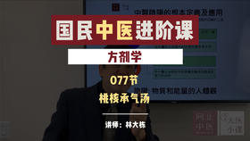 077桃核承气汤