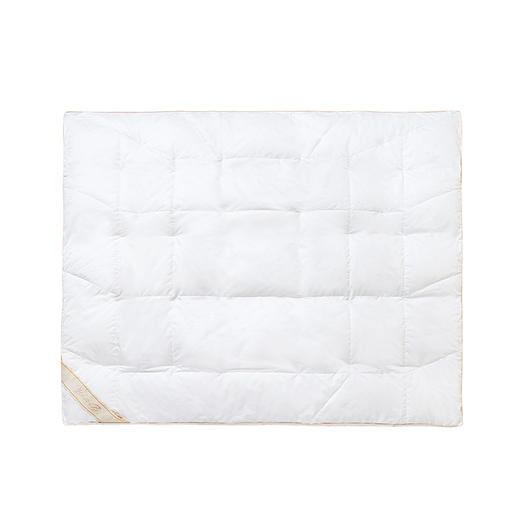 英氏儿童被芯秋冬新款羽绒被白鹅绒被褥150*125YEBXJ32001A 商品图4