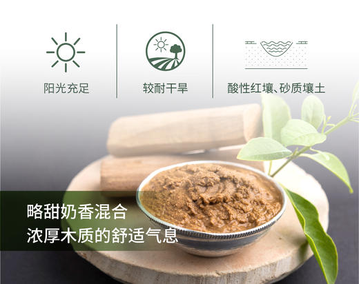 印度檀香 Sandalwood 单方精油5ml 商品图1