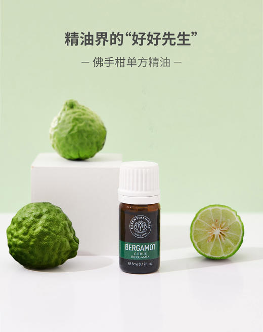 佛手柑 Bergamot 单方精油 5ml 商品图0