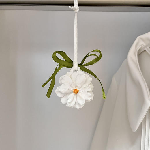 【主播推荐】小红书文艺清新 香衣橱扩香石 卧室内持久留宿舍房间挂件 商品图0