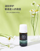 罗马洋甘菊 Roman Chamomile 单方精油 5ml 商品缩略图0