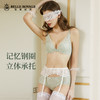【秒杀品不退不换】皇家丽美记忆钢圈中杯蕾丝文胸内裤套装中厚款内衣WJ2099-2 商品缩略图1