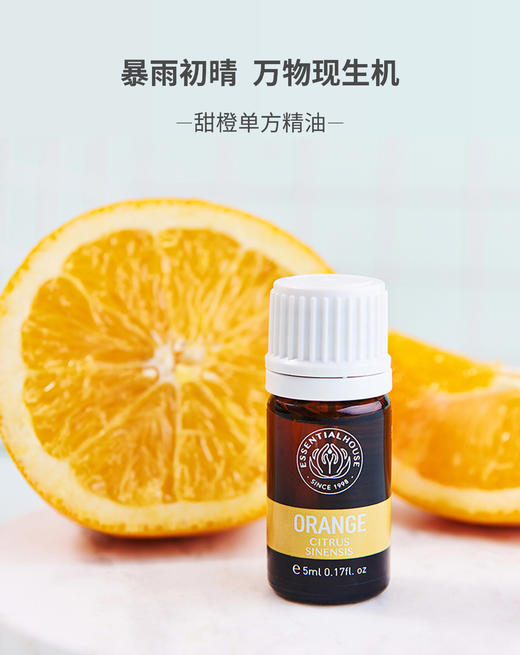 甜橙 Orange 单方精油 5ml 商品图0