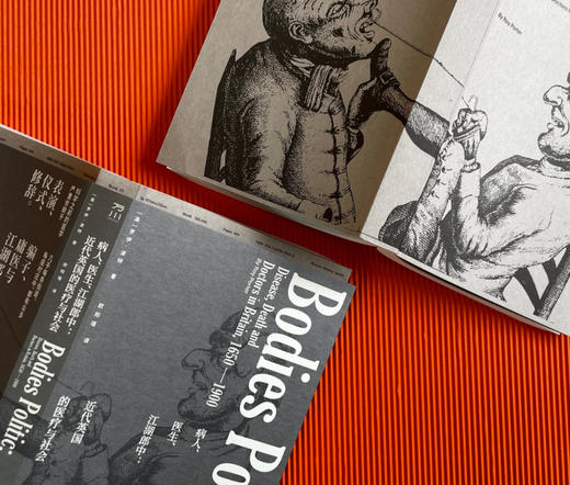 病人、医生、江湖郎中：近代英国的医疗与社会 商品图2