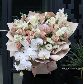 帝王花卡布奇洛定制高级大花束