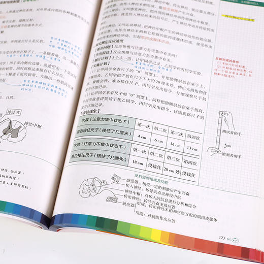 黄皮书初中知识手账 全9科 12-15岁 商品图6