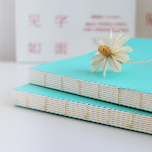 见字如面刘娜 醒脑之书 带你找回对生活的掌握权 心灵摆渡人 闲时花开 公众号主理人刘娜情感问答实录 商品图4