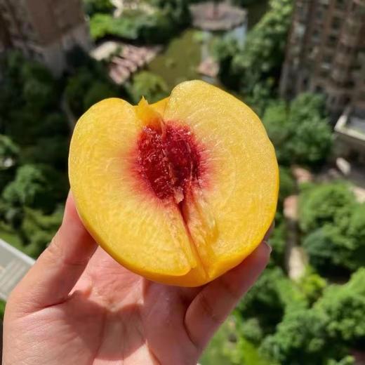 XZG-炎陵黄桃-10斤装-黄桃专线速运 商品图1