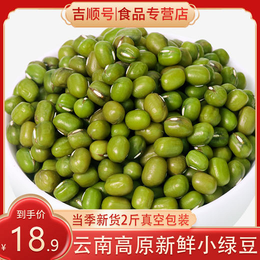 【吉顺号食品】云南 农家小绿豆 五谷杂粮 绿豆粥小绿豆袋装500g绿豆粥 商品图5