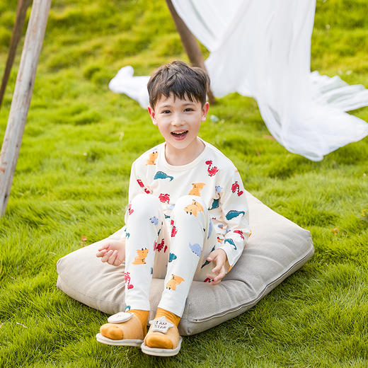 商场同款棉果果秋季新款加厚兰精莫代尔套头套装两件套秋衣秋裤家居服男童柔软M311302422548 商品图1