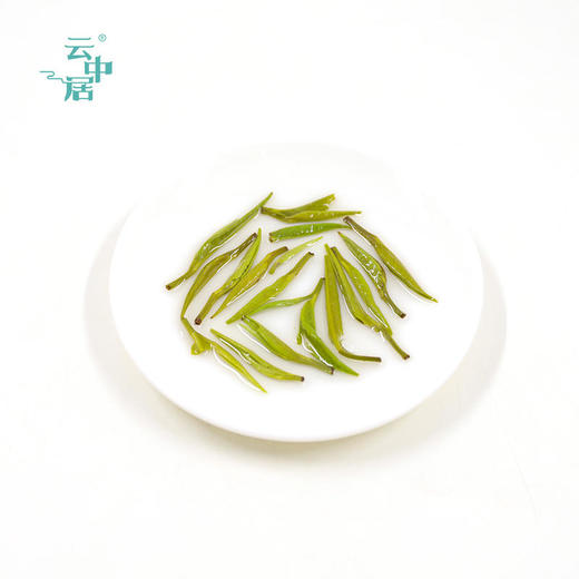 云中居 简 早春毛尖罐装120g 商品图3