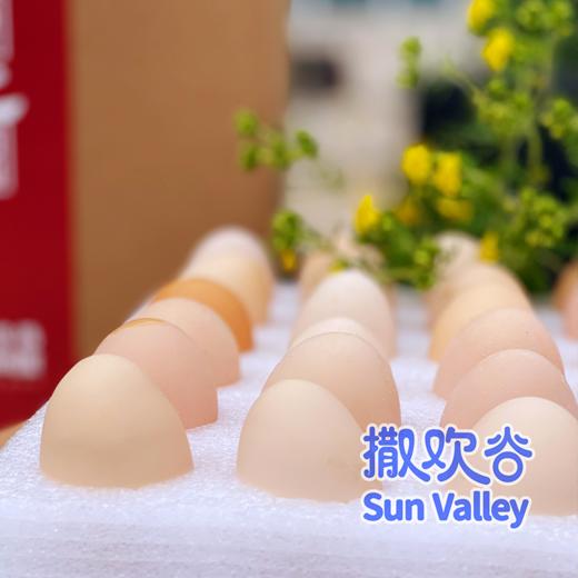 康之源农场 散养土鸡蛋 营养新鲜 生态自然 （限北京） 商品图2
