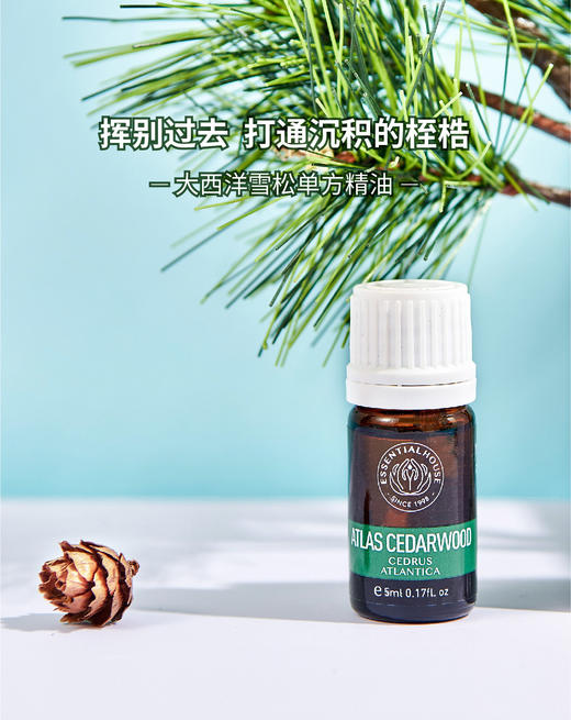 大西洋雪松 Atlas Cedarwood单方精油5ml 商品图0