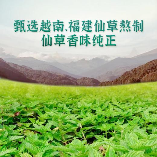 生和堂 原味仙草冻120g*12杯 商品图2